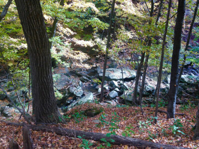 Bruce Trail in Grimsby